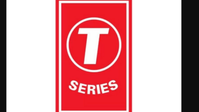 How Much Money Does T-Series Have