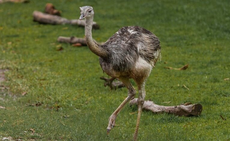 mobile call behavior analysis