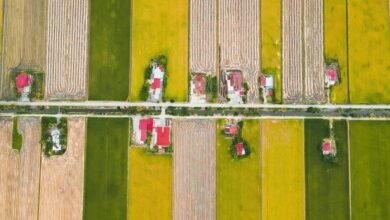 mobile call distribution analysis