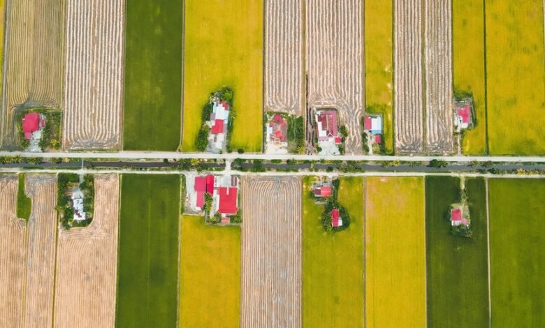 mobile call distribution analysis