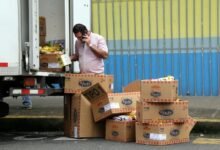 regional call distribution insights