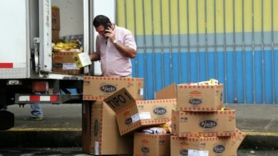 regional call distribution insights