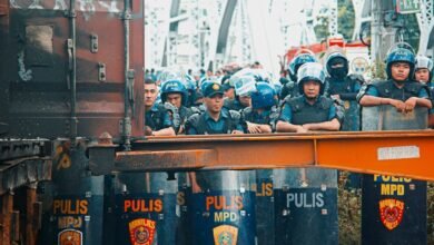 fraud alert network hotline