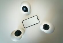 fraud hotline monitoring division