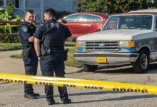 fraud investigation hotline numbers