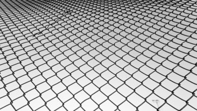 hotline security contact numbers