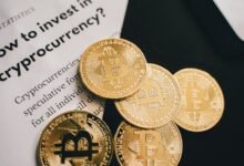 online growth digital guide