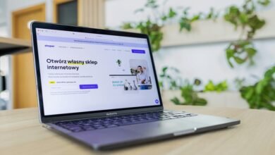 online model growth strategy